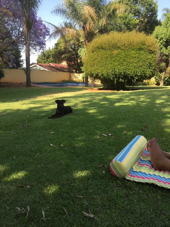 Randburg Khuvena Guesthouse מראה חיצוני תמונה